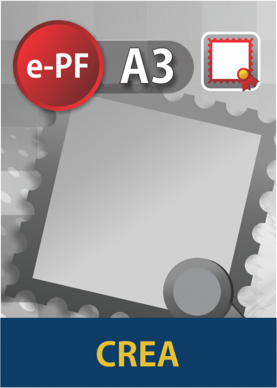 Certificado Digital para ENGENHEIRO (e-PF A3) 3 anos 