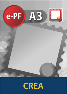 Certificado Digital para ENGENHEIRO (e-PF A3) 3 anos 